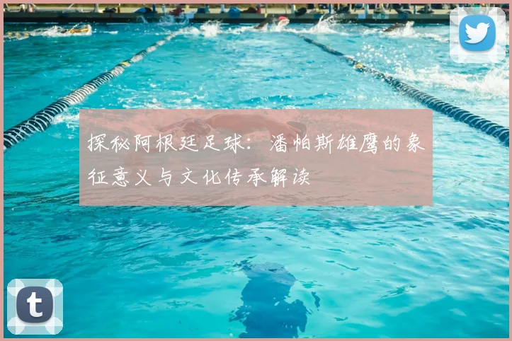 探秘阿根廷足球:潘帕斯雄鹰的象征意义与文化传承解读