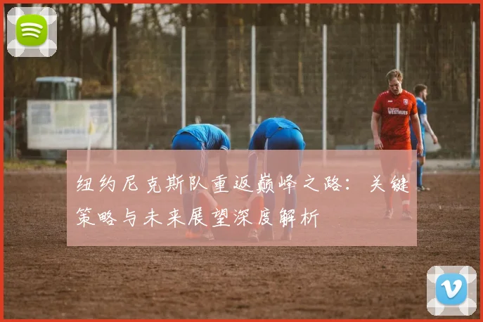 纽约尼克斯队重返巅峰之路:关键策略与未来展望深度解析