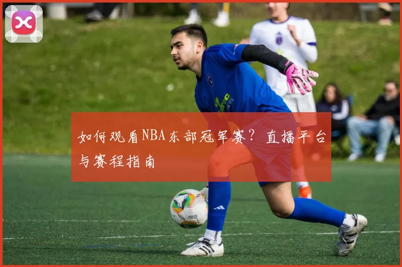 如何观看NBA东部冠军赛?直播平台与赛程指南