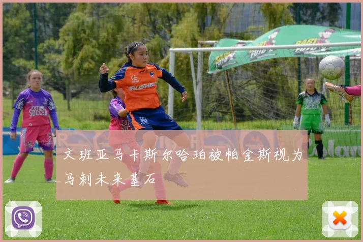 文班亚马卡斯尔哈珀被帕金斯视为马刺未来基石