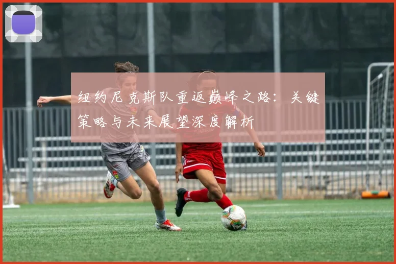纽约尼克斯队重返巅峰之路:关键策略与未来展望深度解析