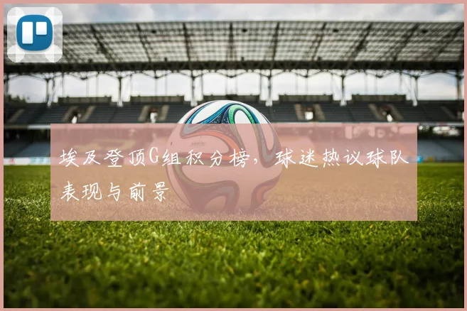埃及登顶G组积分榜,球迷热议球队表现与前景